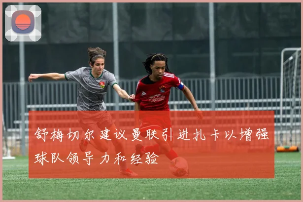 舒梅切尔建议曼联引进扎卡以增强球队领导力和经验